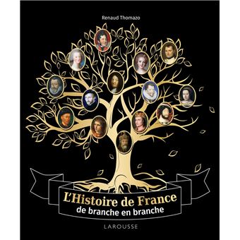 Image de l'objet &laquo; HISTOIRE DE FRANCE DE BRANCHE EN BRANCHE (L') &raquo;
