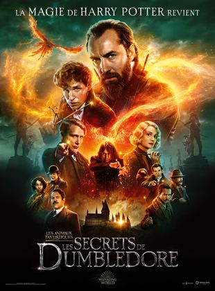 Image de l'objet « LES ANIMAUX FANTASTIQUES : LES SECRETS DE DUMBLEDORE - DVD N°377 »
