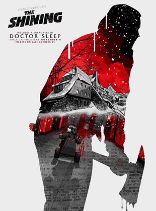 Image de l'objet « SHINING - DVD N°2080 »