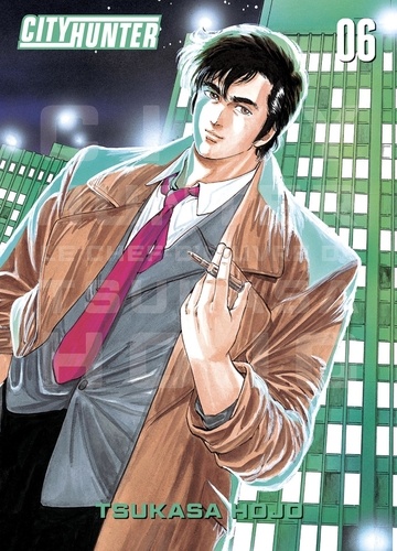 Image de l'objet « CITY HUNTER TOME 6 »
