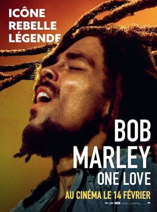 Image de l'objet « BOB MARLEY : ONE LOVE - DVD N°72 »