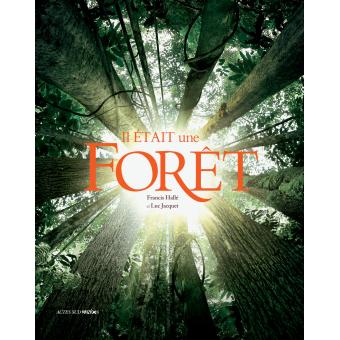 Image de l'objet &laquo; IL ETAIT UNE FORET &raquo;