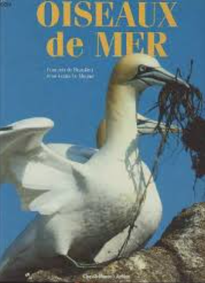 Image de l'objet &laquo; OISEAUX DE MER &raquo;
