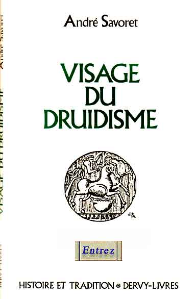 Image de l'objet « VISAGE DU DRUIDISME »