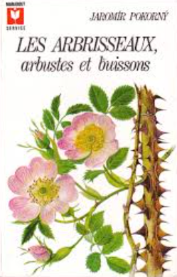 Image de l'objet &laquo; ARBRISSEAUX (LES) , ARBUSTES ET BUISSONS &raquo;