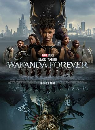 Image de l'objet « BLACK PANTHER : WAKANDA FOREVER - DVD N°289 »
