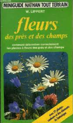 Image de l'objet &laquo; FLEURS DES PRES ET DES CHAMPS &raquo;