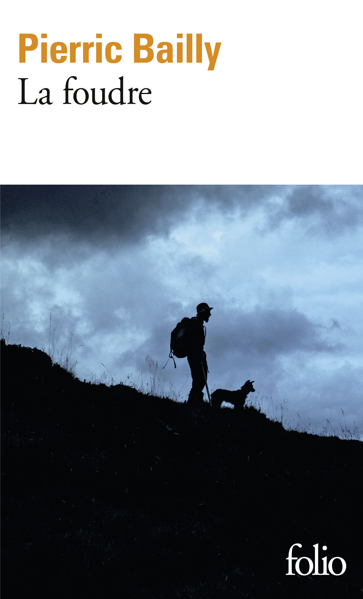 Image de l'objet &laquo; FOUDRE (LA) &raquo;