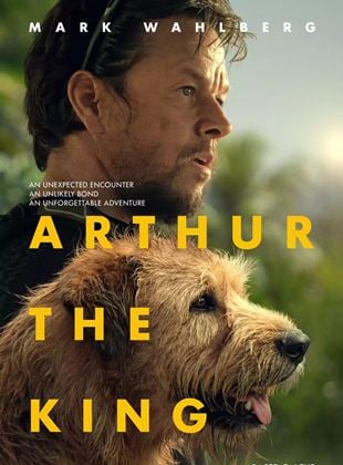 Image de l'objet « ARTHUR THE KING - DVD N°831 »