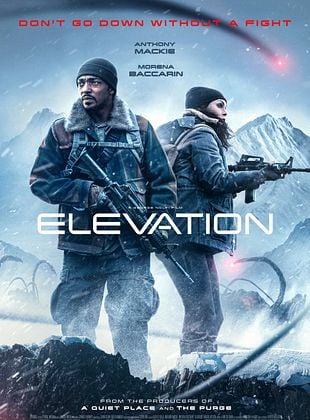Image de l'objet « ELEVATION - DVD N°784 »