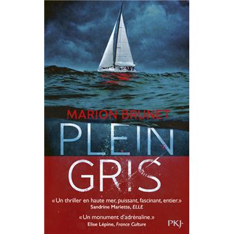 Image de l'objet &laquo; PLEIN GRIS &raquo;
