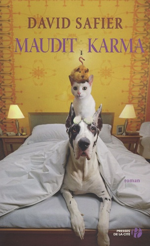 Image de l'objet &laquo; MAUDIT KARMA &raquo;