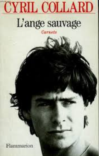 Image de l'objet &laquo; ANGE SAUVAGE (L') / CARNETS &raquo;