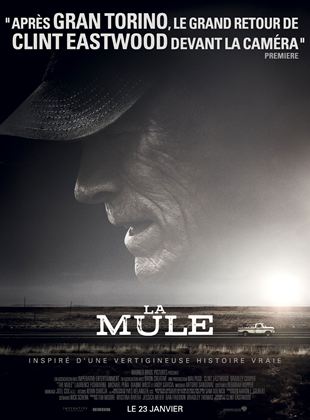Image de l'objet &laquo; LA MULE - DVD N°2027 &raquo;