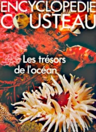 Image de l'objet &laquo; ENCYCLOPEDIE COUSTEAU / LES TRESORS DE L'OCEAN &raquo;