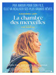 Image de l'objet « LA CHAMBRE DES MERVEILLES - DVD N°525 »