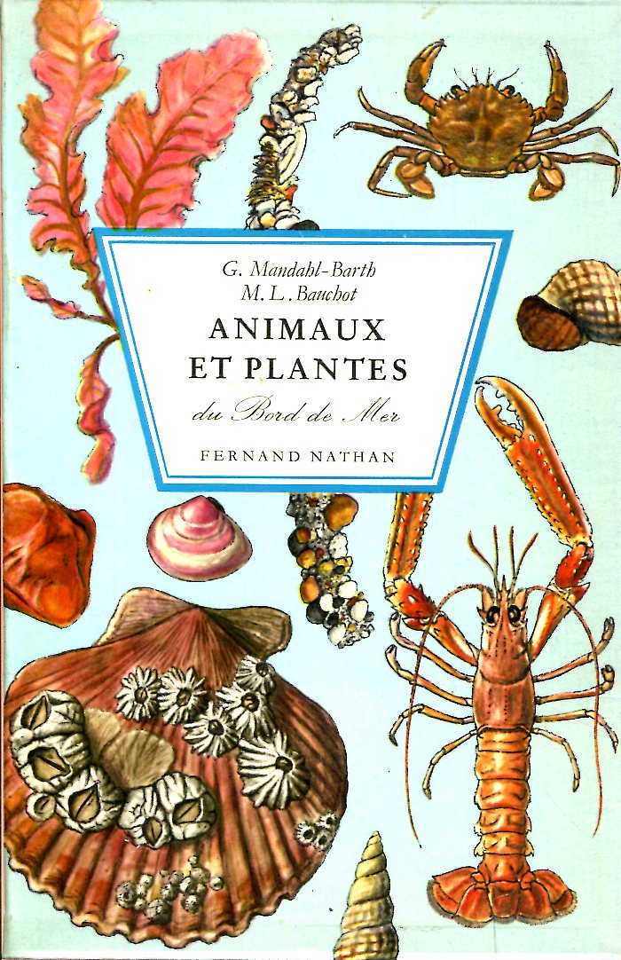 Image de l'objet &laquo; ANIMAUX ET PLANTES DU BORD DE MER &raquo;