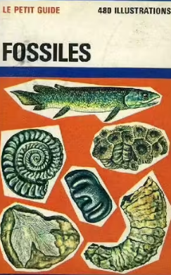 Image de l'objet &laquo; PETIT GUIDE DES FOSSILES (LE) &raquo;