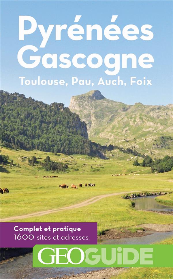 Image de l'objet &laquo; PYRENEES GASCOGNE &raquo;