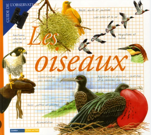 Image de l'objet &laquo; OISEAUX (LES) &raquo;