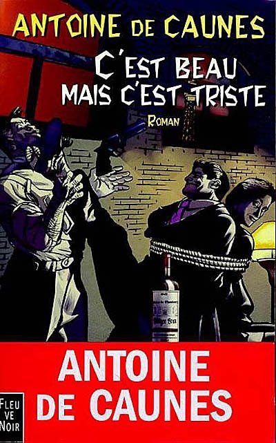 Image de l'objet &laquo; C'EST BEAU MAIS C'EST TRISTE &raquo;