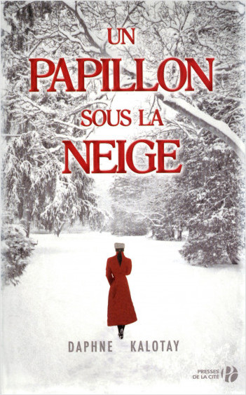 Image de l'objet &laquo; PAPILLON SOUS LA NEIGE (UN) &raquo;