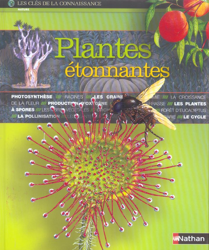 Image de l'objet &laquo; PLANTES ETONNANTES LES CLES DE LA CONNAISSANCE &raquo;