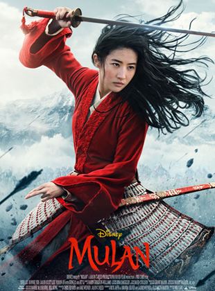Image de l'objet « MULAN - DVD N°800 »