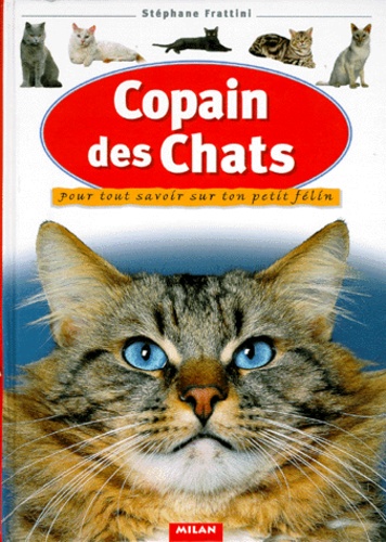 Image de l'objet &laquo; COPAIN DES CHATS &raquo;