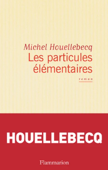 Image de l'objet &laquo; PARTICULES ELEMENTAIRES &raquo;
