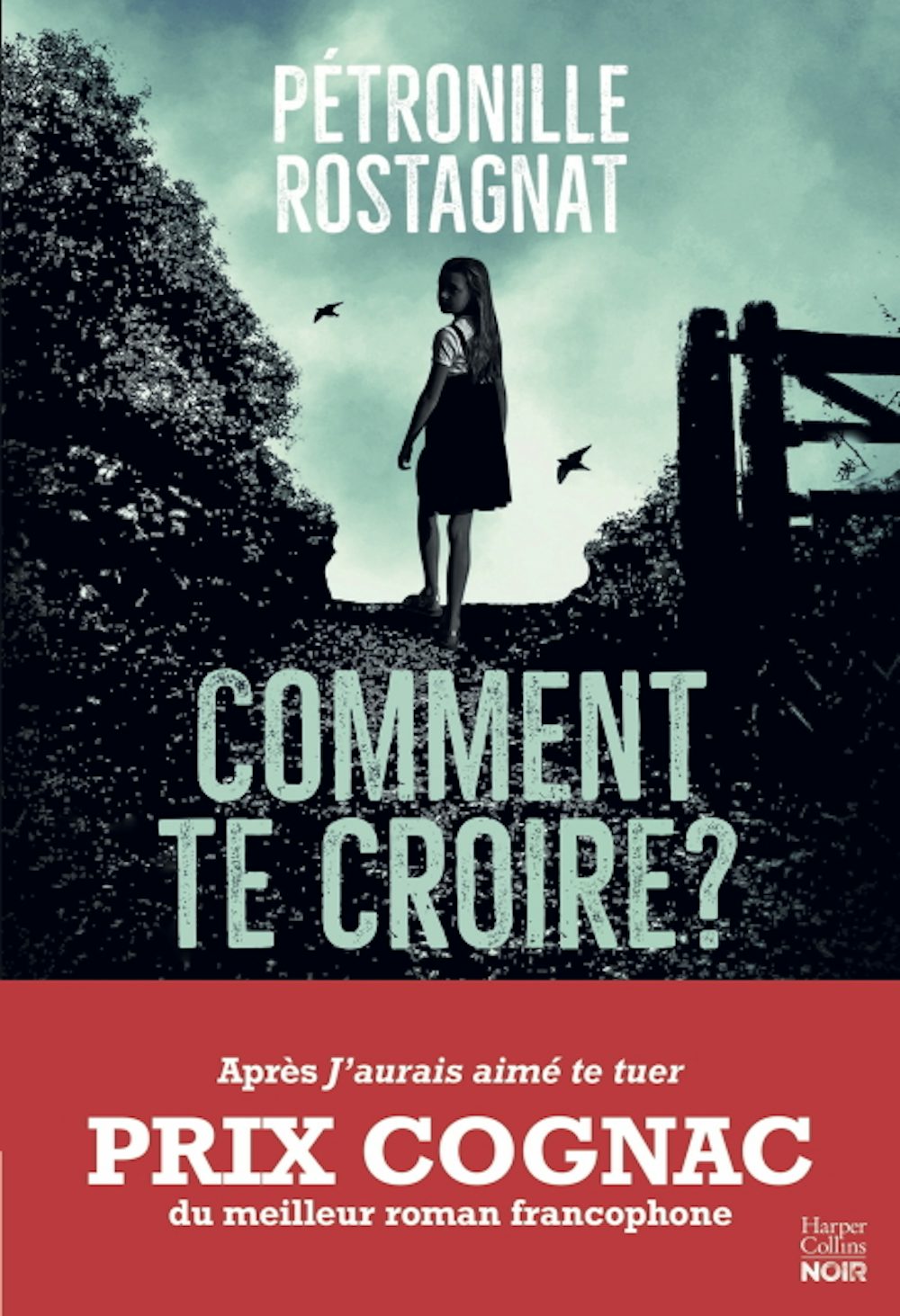 Image de l'objet &laquo; COMMENT TE CROIRE ? &raquo;