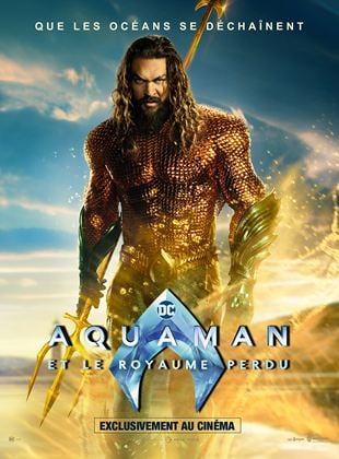 Image de l'objet « AQUAMAN ET LE ROYAUME PERDU - DVD N°412 »