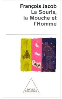 Image de l'objet &laquo; LA SOURIS, LA MOUCHE ET L'HOMME &raquo;