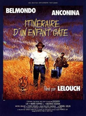 Image de l'objet « ITINERAIRE D'UN ENFANT GATE - DVD N°2213 »