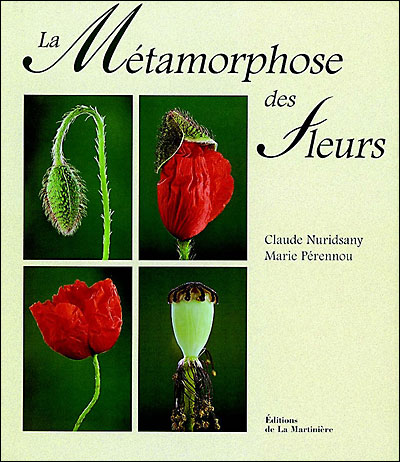 Image de l'objet &laquo; METAMORPHOSE DES FLEURS (LA) &raquo;