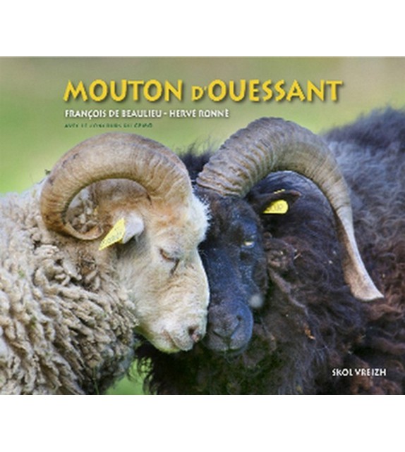 Image de l'objet &laquo; MOUTON D'OUESSANT (LE) &raquo;