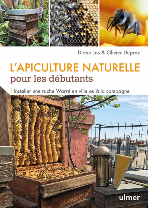 Image de l'objet &laquo; APICULTURE NATURELLE POUR LES DEBUTANTS (L') &raquo;