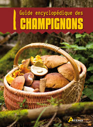 Image de l'objet &laquo; GUIDE ENCYCLOPEDIQUE DES CHAMPIGNONS &raquo;