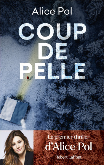 Image de l'objet &laquo; COUP DE PELLE &raquo;