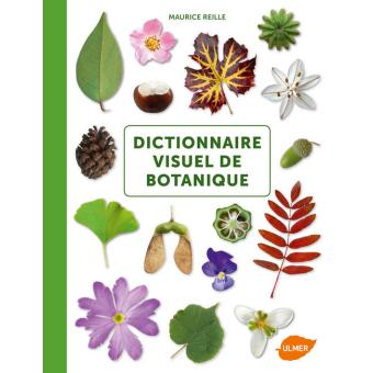 Image de l'objet &laquo; DICTIONNAIRE VISUEL DE BOTANIQUE &raquo;