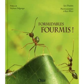 Image de l'objet &laquo; FORMIDABLES FOURMIS ! &raquo;