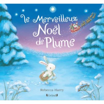 Image de l'objet &laquo; MERVEILLEUX NOEL DE PLUME (LE) &raquo;