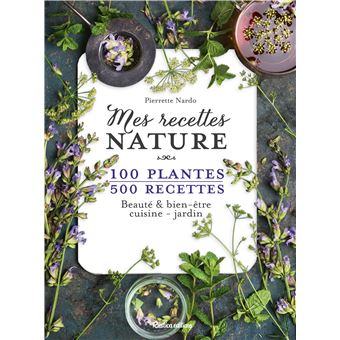 Image de l'objet &laquo; MES RECETTES NATURE / 100 PLANTES 500 RECETTES &raquo;
