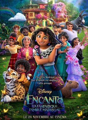 Image de l'objet « ENCANTO - DVD N°1358 »