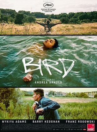 Image de l'objet « BIRD - DVD N°970 »