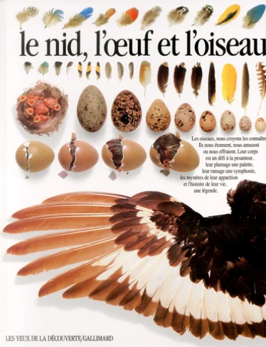 Image de l'objet &laquo; NID (LE) L'OEUF ET L'OISEAU &raquo;