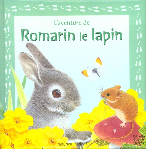 Image de l'objet &laquo; ROMARIN LE LAPIN &raquo;