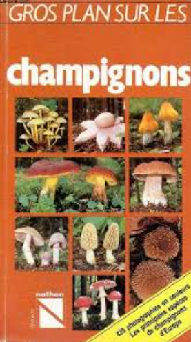 Image de l'objet &laquo; GROS PLAN SUR LES CHAMPIGNONS &raquo;
