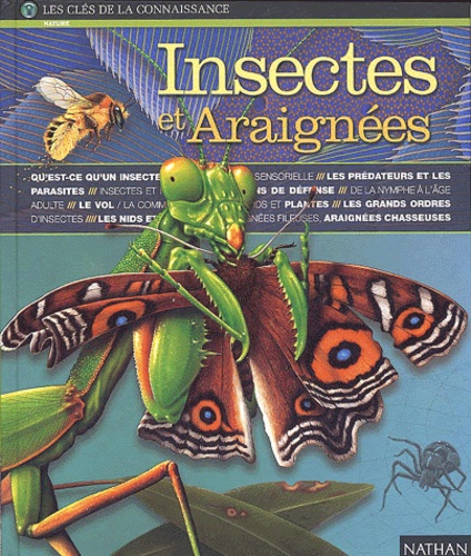 Image de l'objet &laquo; INSECTES ET ARAIGNEES LES CLES DE LA CONNAISSANCE &raquo;