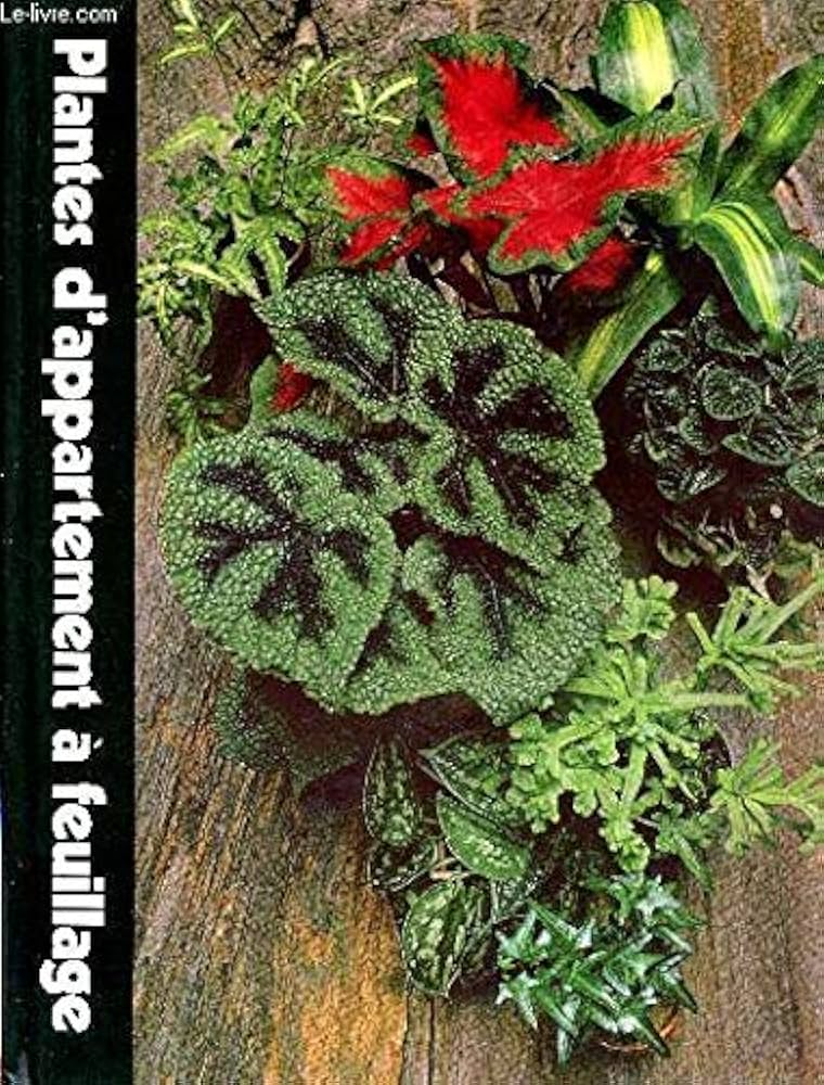 Image de l'objet &laquo; PLANTES D'APPARTEMENT A FEUILLAGE &raquo;